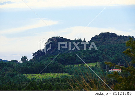 丘 山 竹 81121209
