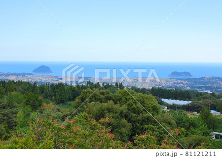 山 竹 森 81121211