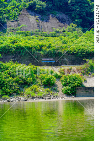 阿武隈川　昭和61年8月洪水位を示す線 81121743