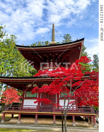 寺院を飾る紅色と黄色 高野山の紅葉 81121995