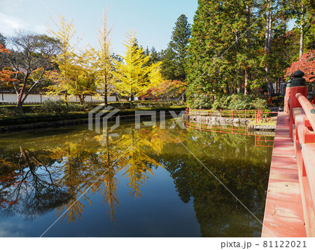 寺院を飾る紅色と黄色 高野山の紅葉 81122021