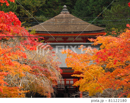 寺院を飾る紅色と黄色 高野山の紅葉 81122180