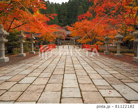 寺院を飾る紅色と黄色 高野山の紅葉 寺院を飾る紅色と黄色 高野山の紅葉 81122182