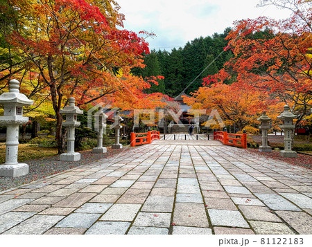 寺院を飾る紅色と黄色 高野山の紅葉 81122183