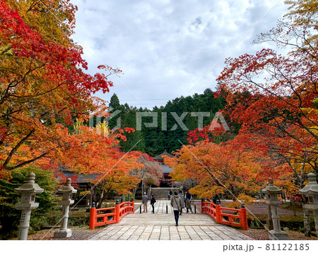 寺院を飾る紅色と黄色 高野山の紅葉 寺院を飾る紅色と黄色 高野山の紅葉 81122185