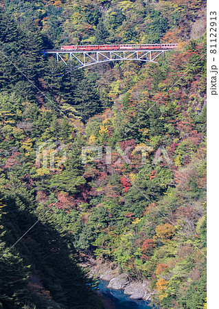 (静岡県)大井川鉄道 関の沢橋梁を走る列車 (静岡県)大井川鉄道 関の沢橋梁を走る列車 81122913