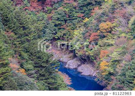 (静岡県)大井川鉄道 関の沢展望台の景色 (静岡県)大井川鉄道 関の沢展望台の景色 81122963