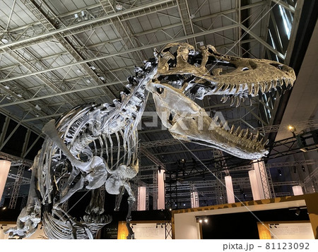 子供と行く、大迫力の恐竜展 81123092