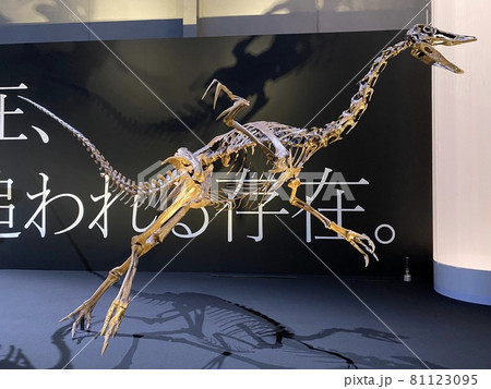 子供と行く、大迫力の恐竜展 81123095