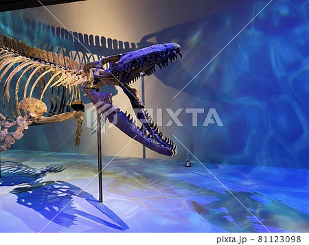 子供と行く、大迫力の恐竜展 81123098