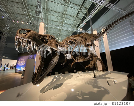 子供と行く、大迫力の恐竜展 81123107