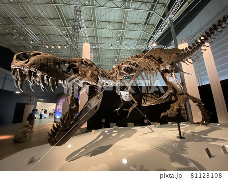 子供と行く、大迫力の恐竜展 子供と行く、大迫力の恐竜展 81123108