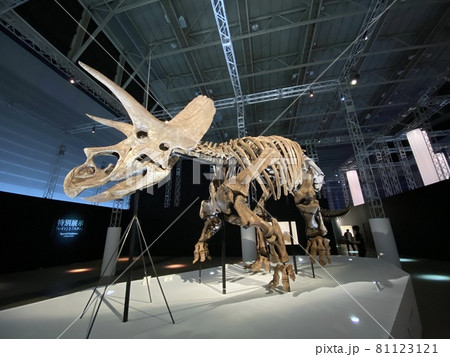 子供と行く、大迫力の恐竜展 子供と行く、大迫力の恐竜展 81123121