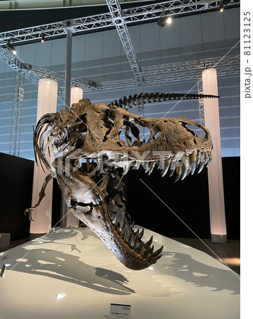 子供と行く、大迫力の恐竜展 81123125