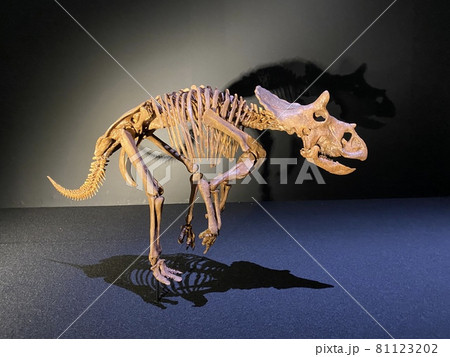 子供と行く、大迫力の恐竜展 81123202