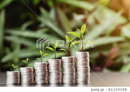Stack of coins with a small tree at the top arranged in a graph. 81124108