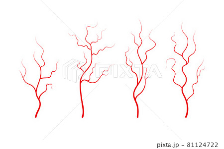 Set of human veins and arteries. Red branching blood vessels and capillaries. Vector illustration isolated on white background 81124722
