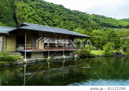 日本建築の茶室と日本庭園「玉露の里」@静岡県藤枝市岡部町 日本建築の茶室と日本庭園「玉露の里」@静岡県藤枝市岡部町 81125290