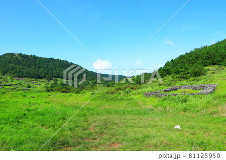 山 丘 風景 81125950