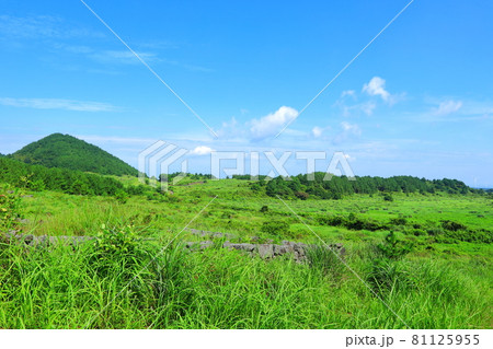 山 風景 原野 81125955