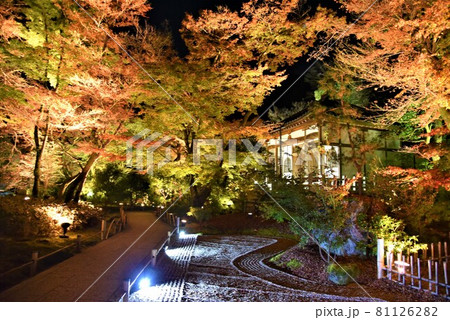 京都の夜景 宝鏡院紅葉 京都の夜景 宝鏡院紅葉 81126282