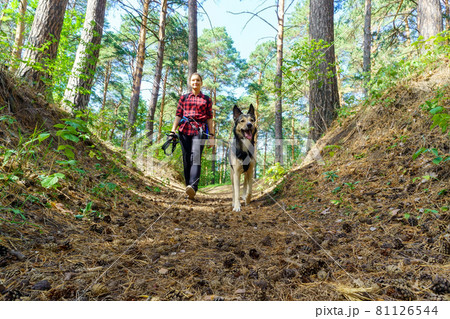 Friendship between human and dog. Walk in nature. A girl on a walk with a dog 81126544