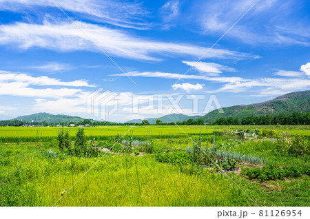 安曇野市　穂高の市民農園 81126954