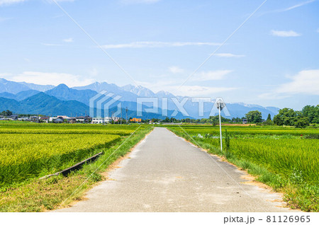 田舎のまっすぐな道 安曇野市 田舎のまっすぐな道 安曇野市 81126965