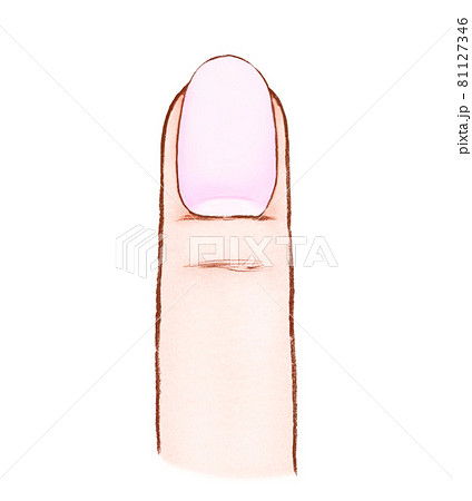 健康な爪と指のイラスト 81127346