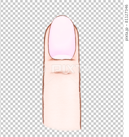 健康な爪と指のイラスト 81127346