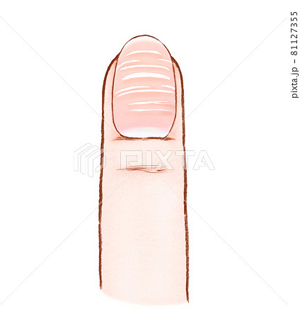 横筋が入った爪と指のイラストのイラスト素材