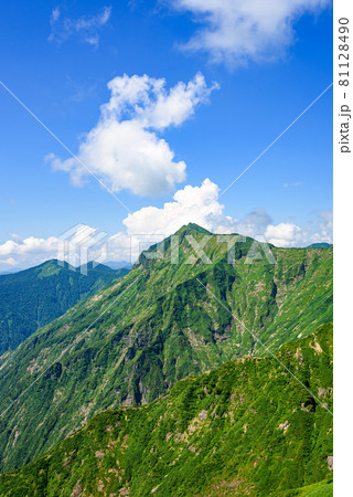 谷川岳天神尾根より望む川棚ノ頭・谷川連峰 谷川岳天神尾根より望む川棚ノ頭・谷川連峰 81128490