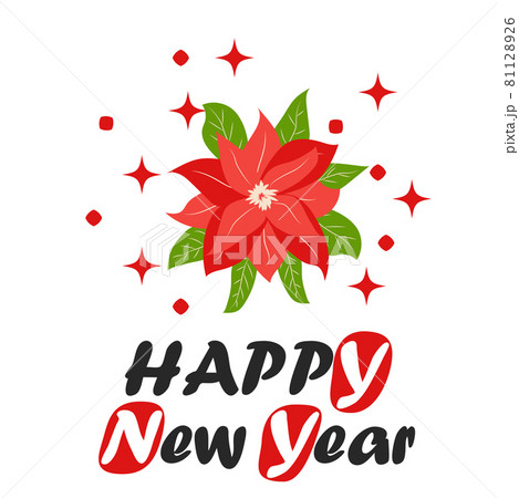 Traditional Christmas poinsettia flower with green leaves and red petals. Christmas flower 81128926