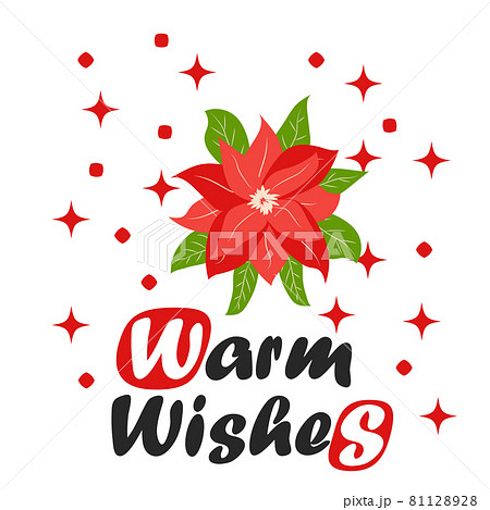 Traditional Christmas poinsettia flower with green leaves and red petals. Christmas flower Traditional Christmas poinsettia flower with green leaves and red petals. Christmas flower 81128928