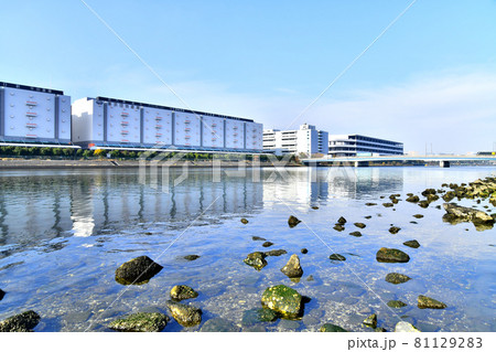 大和大橋/京浜運河付近より新平和橋方面を望む(東京都大田区)【2020.11】 大和大橋/京浜運河付近より新平和橋方面を望む(東京都大田区)【2020.11】 81129283