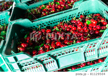 Photo of fresh cherries 81129504