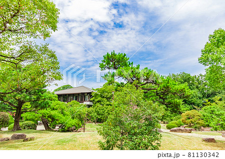 亀城公園、刈谷市の桜の名所〈愛知県刈谷市〉 亀城公園、刈谷市の桜の名所〈愛知県刈谷市〉 81130342