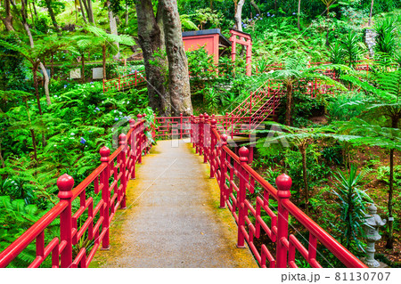 Monte Palace Tropical Garden in Madeira Monte Palace Tropical Garden in Madeira 81130707