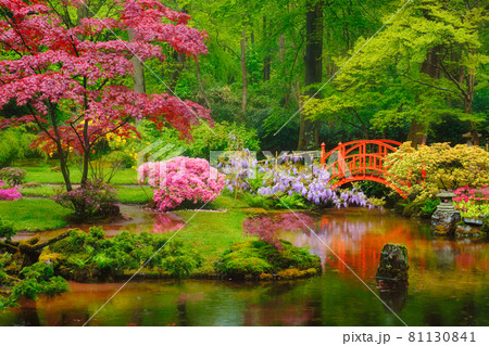Japanese garden, Park Clingendael, The Hague, Netherlands 81130841