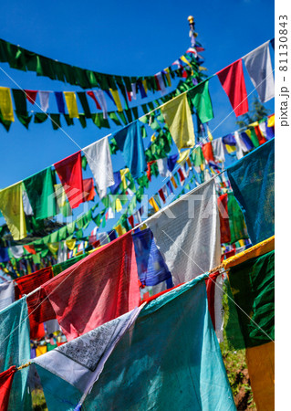 Buddhist prayer flags lunga in McLeod Ganj, Himachal Pradesh, India Buddhist prayer flags lunga in McLeod Ganj, Himachal Pradesh, India 81130843