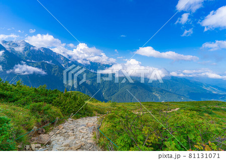 夏の唐松岳登山風景　【長野県】 81131071