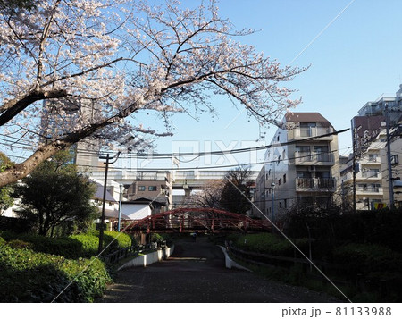 朝の八幡堀遊歩道 朝の八幡堀遊歩道 81133988