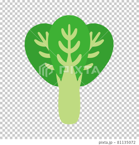 野菜/小松菜 81135072