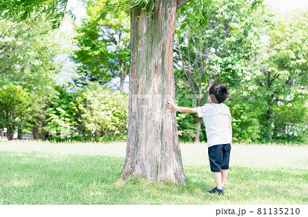 自然と少年（エコ、SDGs、カーボンニュートラルイメージ） 81135210