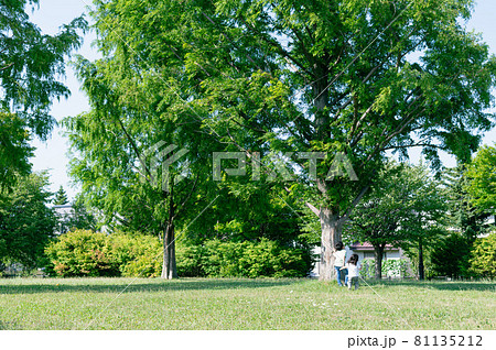 自然と子供（エコ、SDGs、カーボンニュートラルイメージ） 81135212