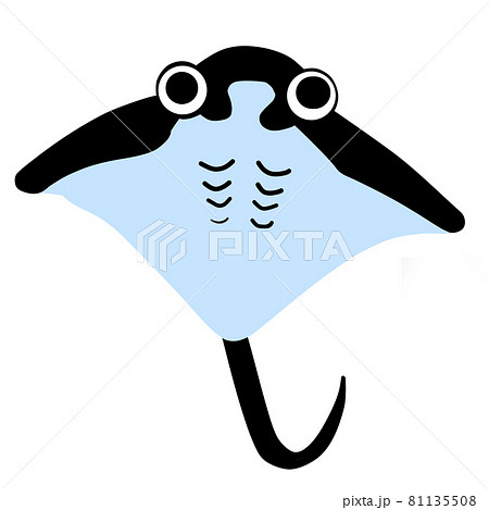 海の仲間・エイ 81135508