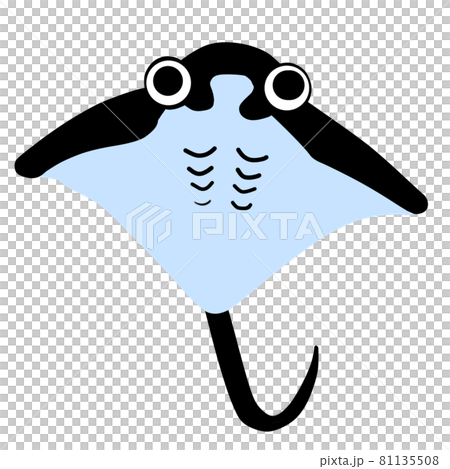 海の仲間・エイ 81135508