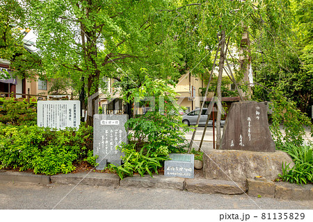 川崎市の稲毛神社 81135829