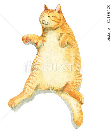 アナログ水彩昼寝する太ったトラ猫のイラスト素材 アナログ水彩昼寝する太ったトラ猫のイラスト素材