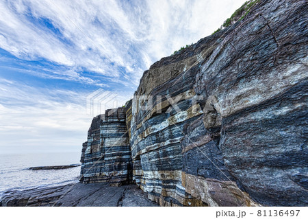 須佐ホルンフェルス 81136497